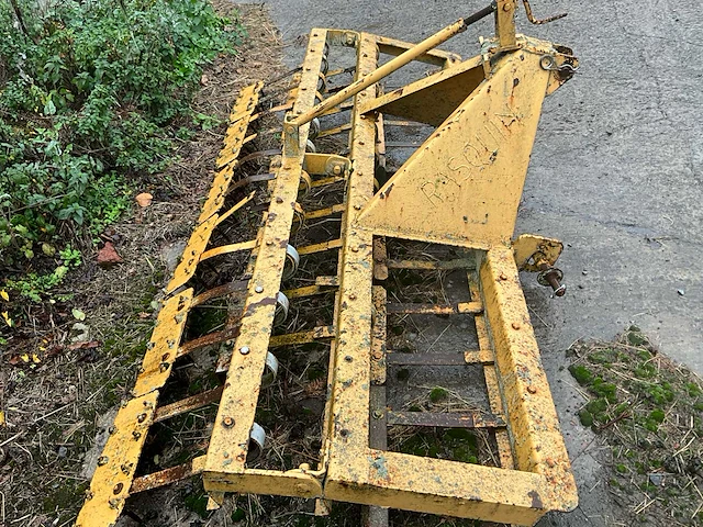 Oude weide-aaseter / harg - afbeelding 1 van  7