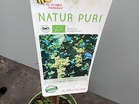 Overige bomen, planten en potten (50x)