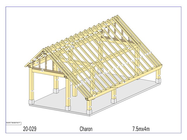 Overkapping, charon - afbeelding 8 van  12