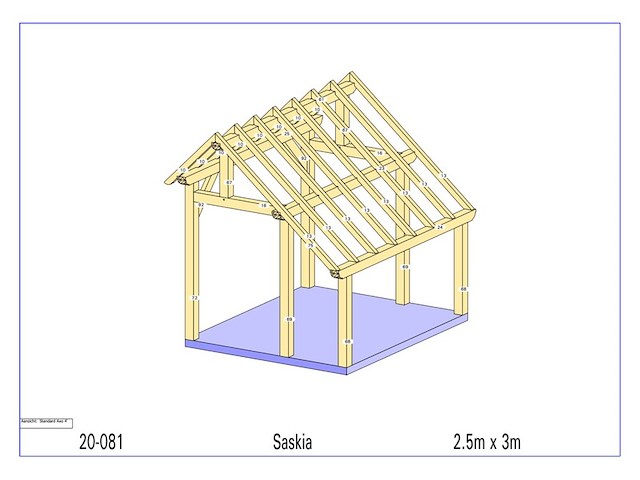 Overkapping, saskia - afbeelding 7 van  11