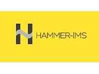 Overname handelsfonds hammer ims : marveloc/edge-vision en software