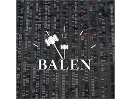 Overnamewagens: balen (besloten veiling!)