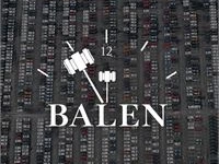 Overnamewagens: balen (besloten veiling!)