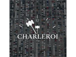 Overnamewagens: charleroi (besloten veiling)