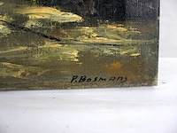P. bosmans - afbeelding 4 van  5