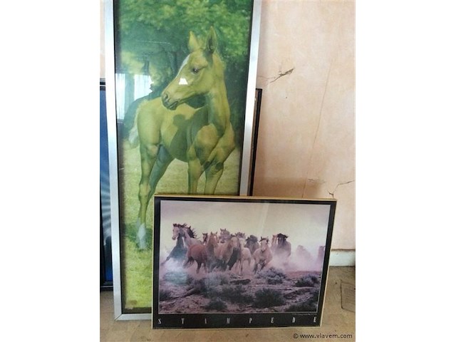 Paarden 2st grootste 3d - afbeelding 1 van  2