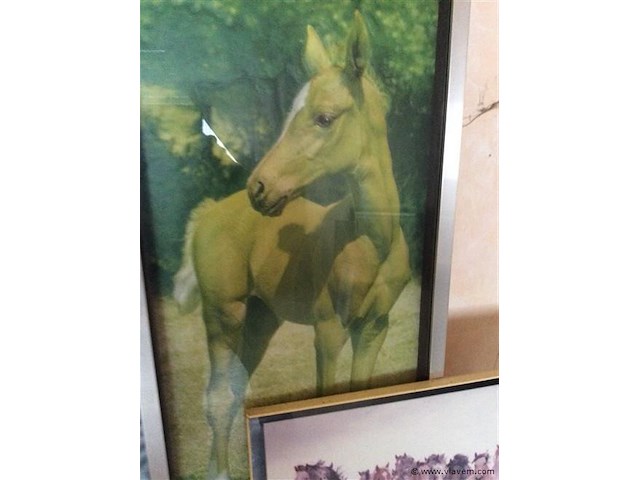 Paarden 2st grootste 3d - afbeelding 2 van  2