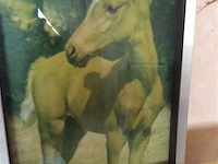 Paarden 2st grootste 3d - afbeelding 2 van  2