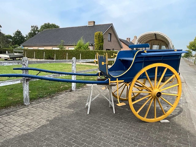 Paarden rijtuig - afbeelding 2 van  21