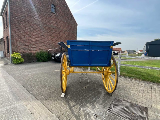 Paarden rijtuig - afbeelding 4 van  21