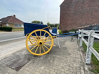 Paarden rijtuig - afbeelding 6 van  21