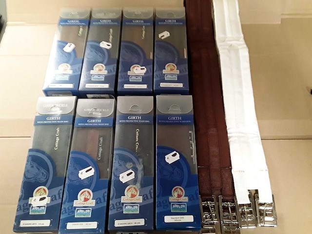 Paarden singels - ongebruikt (10x) - afbeelding 1 van  2