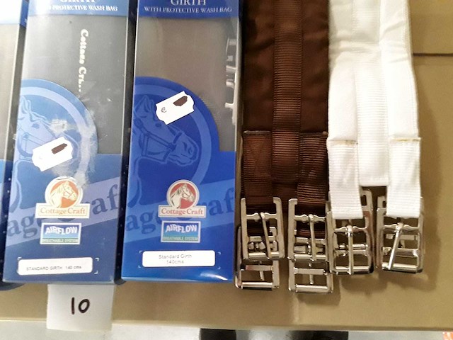 Paarden singels - ongebruikt (10x) - afbeelding 2 van  2