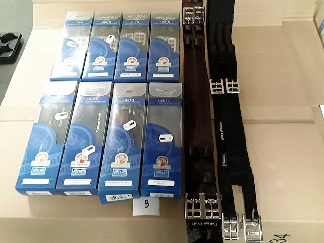 Paarden singels -ongebruikt (10x) - afbeelding 1 van  2