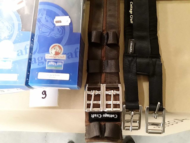 Paarden singels -ongebruikt (10x) - afbeelding 2 van  2