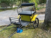 Paarden vervoeren