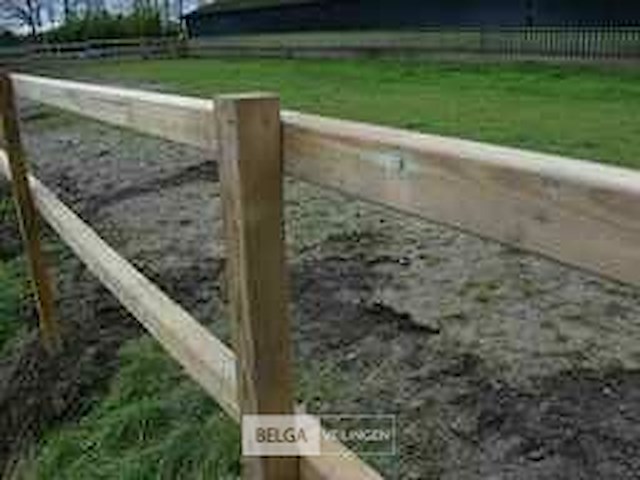 Paardenhekwerk grenen geimperneerd - 360 lopende meter - afbeelding 3 van  3