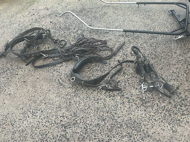 Paardenkoers met accessoires - afbeelding 2 van  8