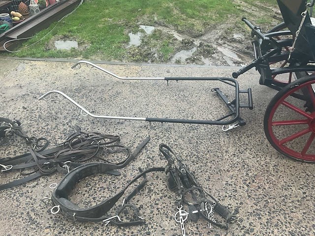 Paardenkoers met accessoires - afbeelding 3 van  8