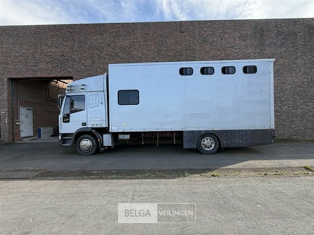 Paardenvrachtwagen iveco - afbeelding 12 van  30
