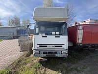Paardenvrachtwagen iveco - afbeelding 3 van  10