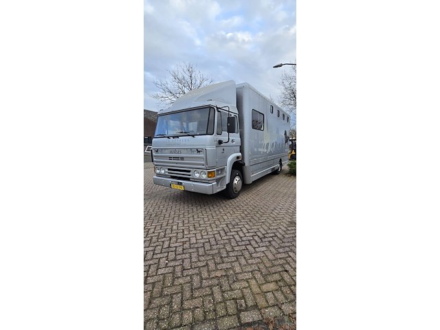 Paardenwagen daf ae64nt diesel 158pk 1990 - afbeelding 1 van  1
