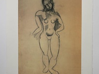 Pablo picasso - gelimiteerde editie - afbeelding 1 van  1