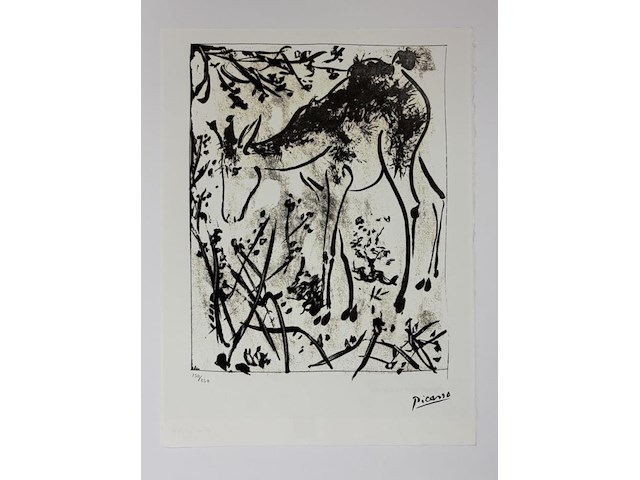 Pablo picasso - gelimiteerde editie - afbeelding 1 van  1