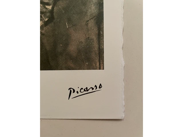 Pablo picasso - afbeelding 4 van  5