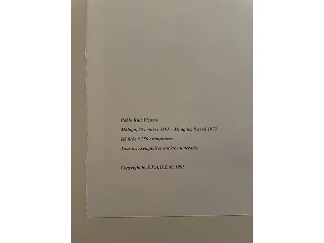 Pablo picasso - afbeelding 5 van  5