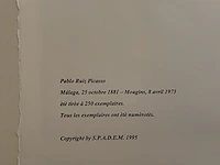 Pablo picasso - afbeelding 5 van  5