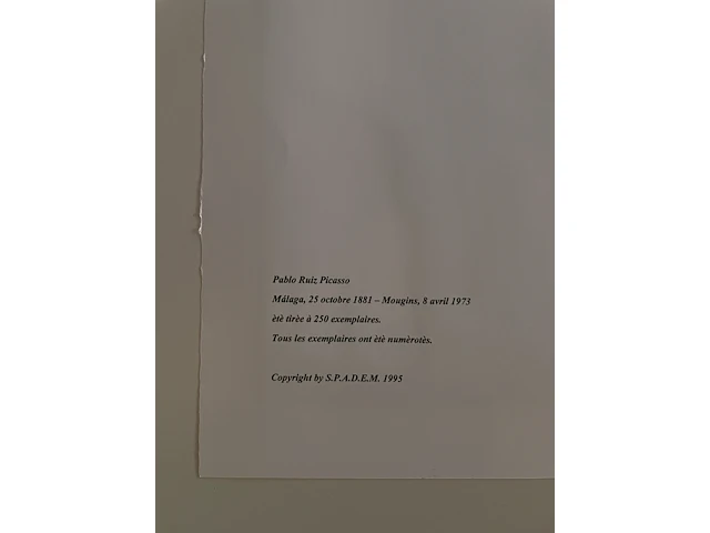 Pablo picasso - afbeelding 5 van  5