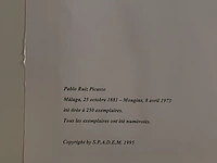 Pablo picasso - afbeelding 5 van  5