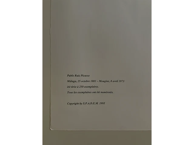 Pablo picasso - afbeelding 5 van  5