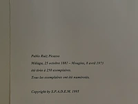 Pablo picasso - afbeelding 5 van  5
