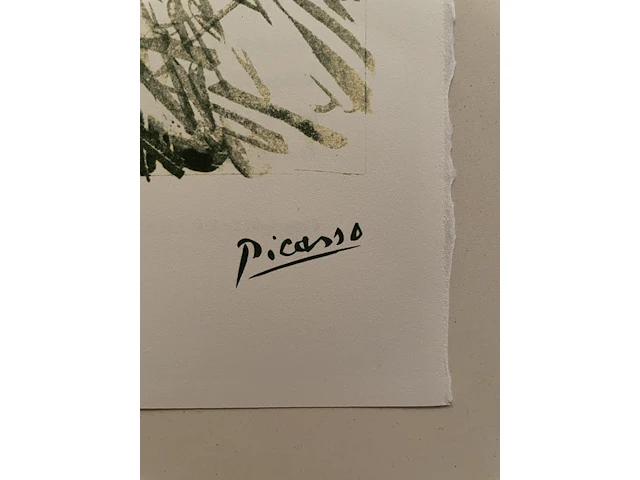 Pablo picasso - afbeelding 4 van  5