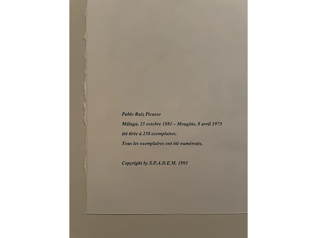 Pablo picasso - afbeelding 5 van  5