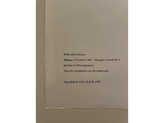 Pablo picasso - afbeelding 5 van  5