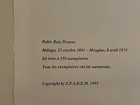 Pablo picasso - afbeelding 5 van  5