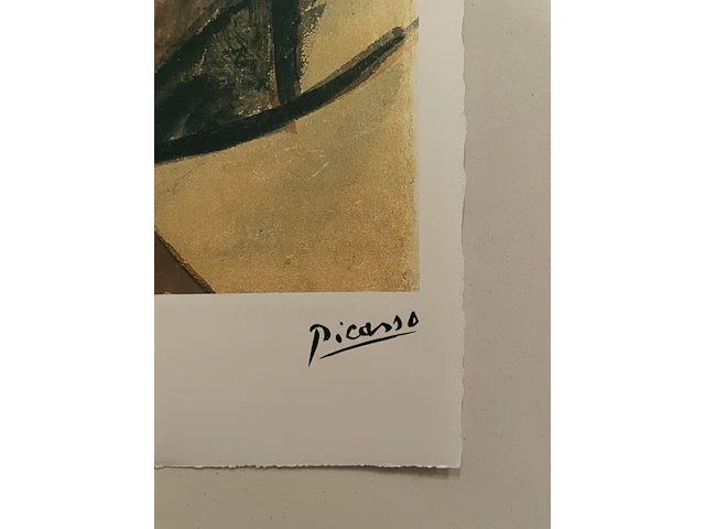Pablo picasso - afbeelding 4 van  5
