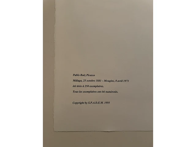Pablo picasso - afbeelding 5 van  5
