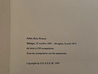Pablo picasso - afbeelding 5 van  5