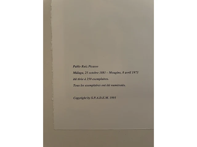 Pablo picasso - afbeelding 5 van  5
