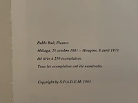 Pablo picasso - afbeelding 5 van  5