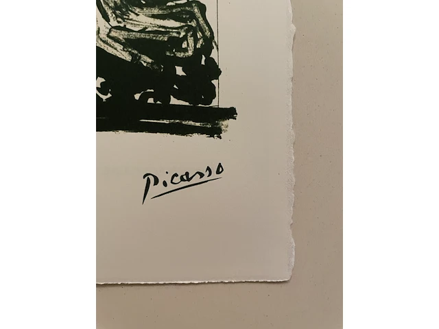 Pablo picasso - afbeelding 4 van  5
