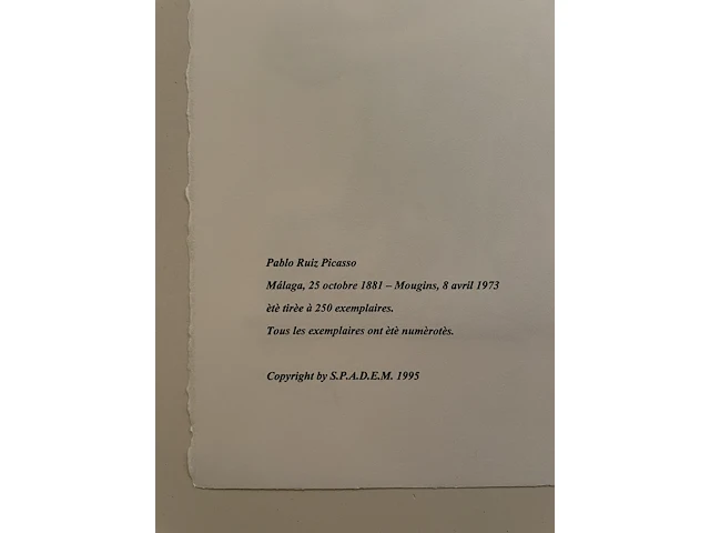 Pablo picasso - afbeelding 5 van  5