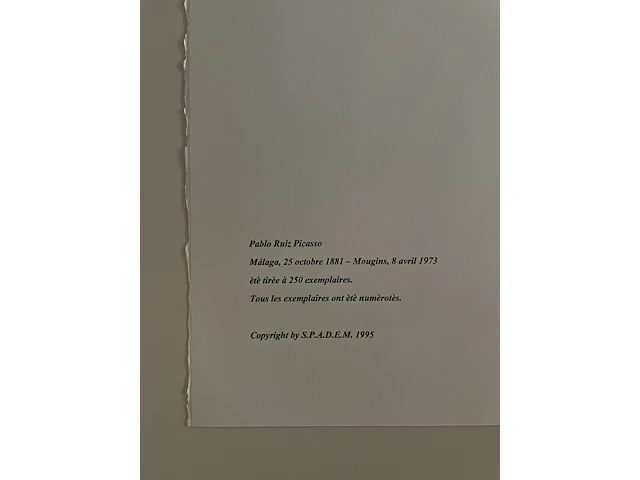 Pablo picasso - afbeelding 5 van  5
