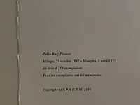 Pablo picasso - afbeelding 5 van  5