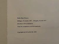 Pablo picasso - afbeelding 5 van  5