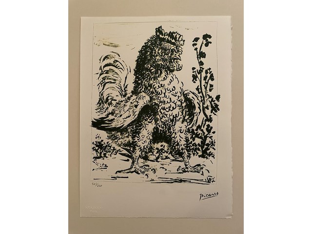 Pablo picasso - afbeelding 1 van  5